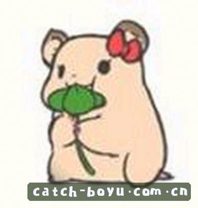 赵公子